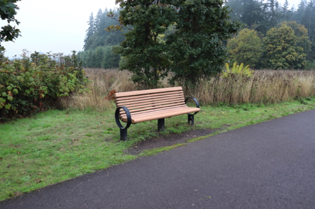 Bench along the wide and paved Tonquin Trail